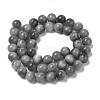 Natural Eagle Eye Beads Strands G-I281-02-8mm-01-2