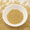 MIYUKI Delica Beads SEED-X0054-DB0031-2