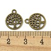 Tibetan Style Alloy Pendants  TIBE-I026-5990AB-3