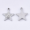 201 Stainless Steel Pendants STAS-N091-12P-2