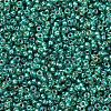 MIYUKI Round Rocailles Beads SEED-X0054-RR1017-3