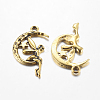 Zinc Alloy Fairy Sprite Charms X-PALLOY-A18526-AG-LF-2