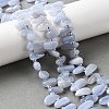 Natural Blue Lace Agate Beads Strands G-J403-03-5