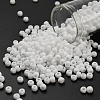 TOHO 6/0 Round Beads SEED-TR06-0041F-1