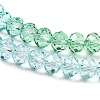 Transparent Painted Glass Beads Strands LS-DGLA-A034-T6mm-A16-4