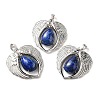 Natural Lapis Lazuli Teardrop Pendants KK-K331-02P-10-1