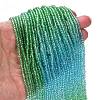 Transparent Painted Glass Beads Strands LS-DGLA-A034-T2mm-A17-2