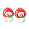 Opaque Resin Cabochons CRES-P023-06J-1