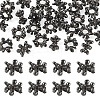 Alloy European Beads FIND-TAC0027-39B-1