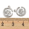 Brass Micro Pave Clear Cubic Zirconia Pndants ZIRC-R113-02P-3