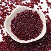 Spray Painted Glass Seed Beads SEED-F005-11A-01-2