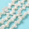 Natural Keshi Pearl Beads Strands PEAR-J007-52-2