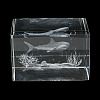 3D Laser Engraving Animal Glass Figurine LS-DJEW-R013-01B-3