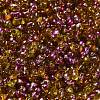 Spray Painted Glass Seed Beads SEED-F005-04A-01-3