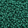TOHO 6/0 Round Beads SEED-TR06-0055D-4