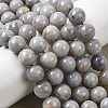 Natural Gemstone Beads Strands G-L641-A01-04-1