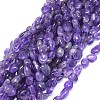 Natural Amethyst Beads Strands G-O173-098-1