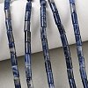 Natural Sodalite Beads Strands G-B091-A24-01-1