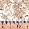 Glass Bugle Beads SEED-S032-08A-39A-4