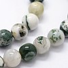 Natural Tree Agate Beads Strands G-I199-03-10mm-3