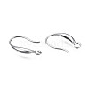 304 Stainless Steel Earring Hooks STAS-S057-60-2