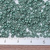 MIYUKI Round Rocailles Beads SEED-G007-RR2028-3