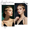 Glass Rhinestone HeadBands for Women OHAR-WH0021-74G-5