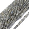 Natural Labradorite Beads Strands G-I249-D17-1