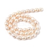 Natural Cultured Freshwater Pearl Beads Strands PEAR-I007-01D-07C-3