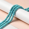 Natural Howlite Beads Strands G-C025-10A-2