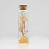 Glass Wishing Bottle Decorations TREE-PW0002-08E-1