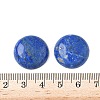 Natural Lapis Lazuli Cabochons G-A265-01E-3