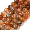 Natural Agate(Dyed & Heated) Beads Strands G-H066-B08-03-1