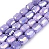 Anti-Tarnish Electroplate Glass Beads Strands EGLA-N027-03A-10-1