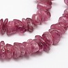 Chips Natural Tourmaline Beads Strands G-N0164-04B-2