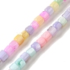 Rainbow Color Dyed Natural Freshwater Shell Beads Strands SHEL-G018-02D-1