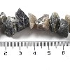 Raw Rough Natural Labradorite Beads Strands G-P528-A16-01-4