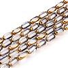 Electroplate Glass Beads Strands EGLA-N008-015H-2