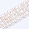 Natural Cultured Freshwater Pearl Beads Strands PEAR-R063-09-1