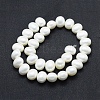 Shell Pearl Beads Strands BSHE-F001-02B-2