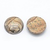 Natural Picture Jasper Cabochons G-E492-A-10-2