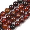 Natural Garnet Beads Strands G-H300-A01-02-2