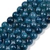 Natural Dragon Veins Agate(Dyed & Heated) Beads Strands G-M437-C01-01R-2