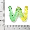 Resin Pendant FIND-Q107-01W-02-3