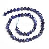 Natural Sodalite Beads Strands G-E560-B02-2