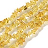 Spray Painted Transparent Glass Beads Strands X-GLAA-P060-01A-13-1