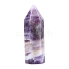 Natural Amethyst Display Decorations PW-WG789B0-01-1