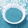 MIYUKI Delica Beads SEED-MY11-DB2130-2
