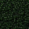 MIYUKI Round Rocailles Beads SEED-X0055-RR0158F-3