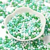 6/0 Opaque Baking Paint Glass Seed Beads SEED-M012-02A-27-2